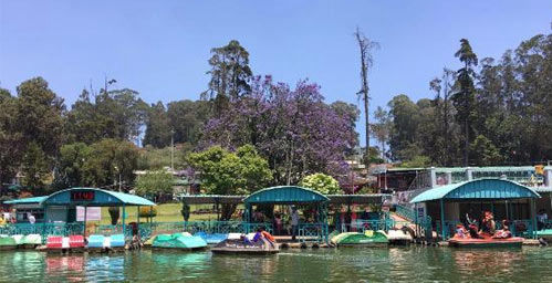 Boat House Ooty