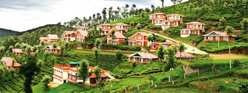 OOTY 